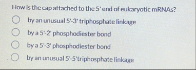 Solved How is the cap attached to the 5 ' ﻿end of eukaryotic | Chegg.com