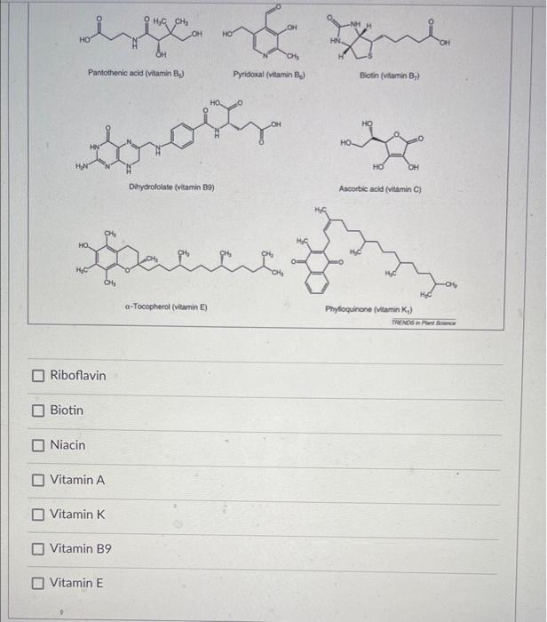 Solved Which of the following vitamins would you classify as