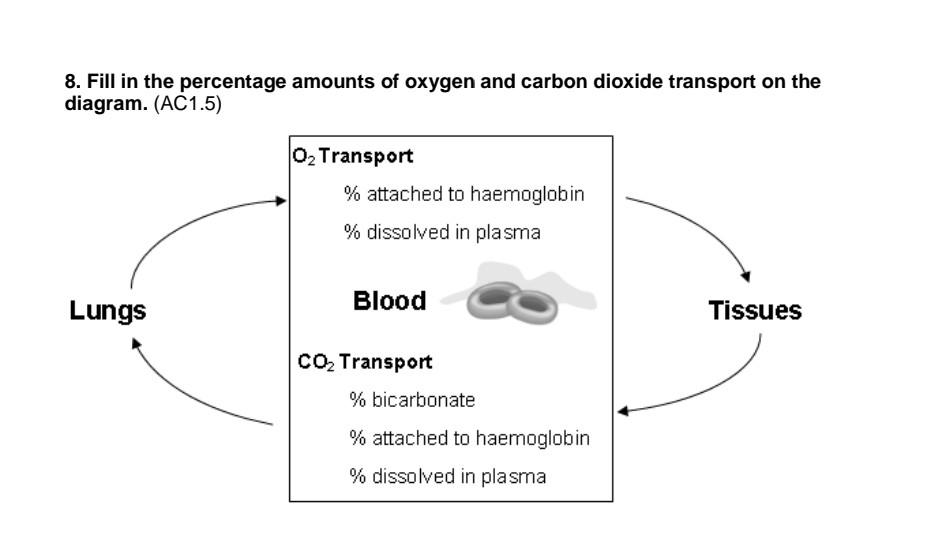 oxygen and carbon dioxide transport