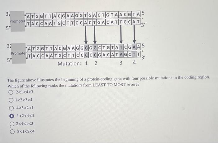 Solved The figure above illustrates the beginning of a | Chegg.com