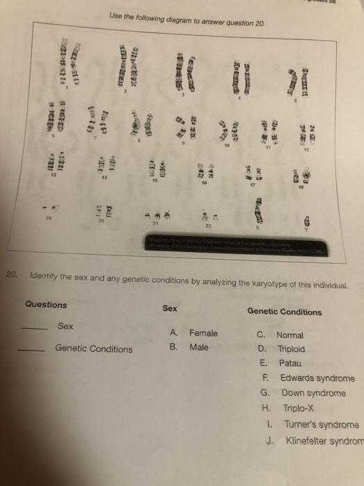 Solved Use The Following Diagram To Answer Question 19