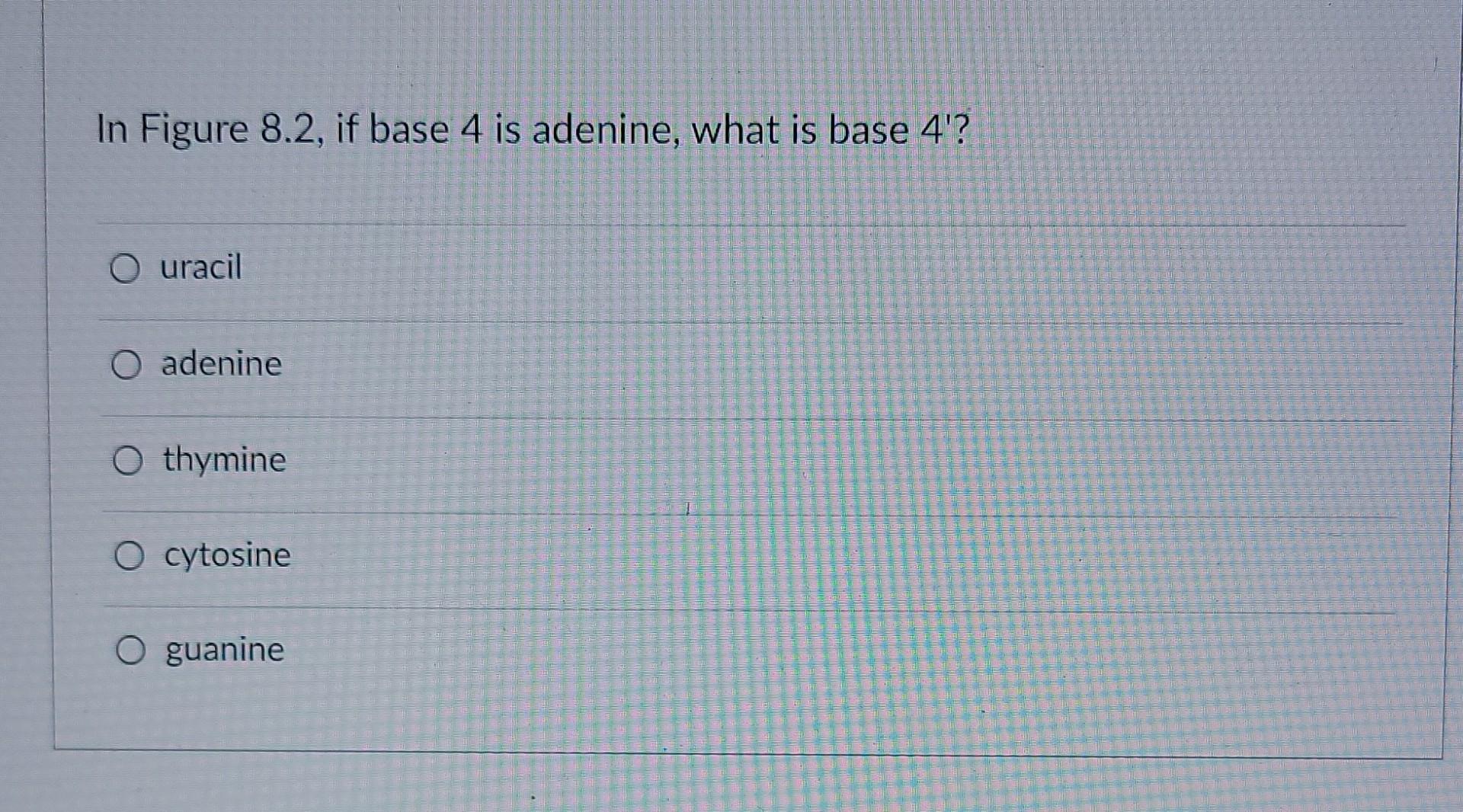 what is base 4