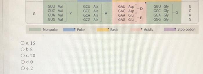 Solved In the standard genetic code shown in Table 4.1. how | Chegg.com