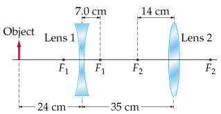 What is the magnification of this image? | Chegg.com