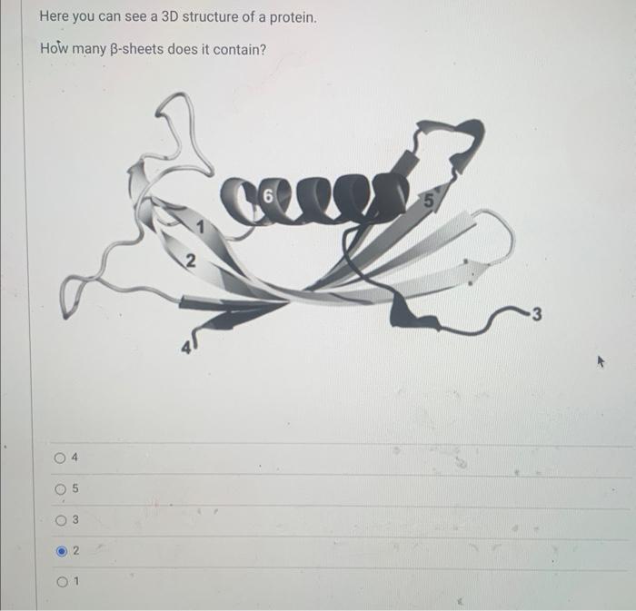 Solved Here you can see a 3D structure of a protein. How | Chegg.com