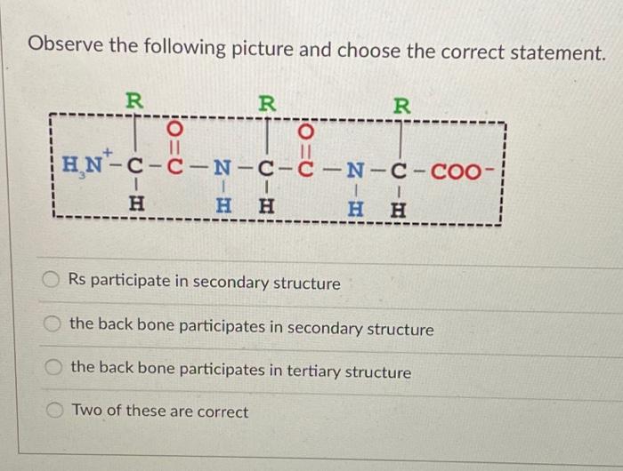 Solved This plot represents how the activity of an enzyme is