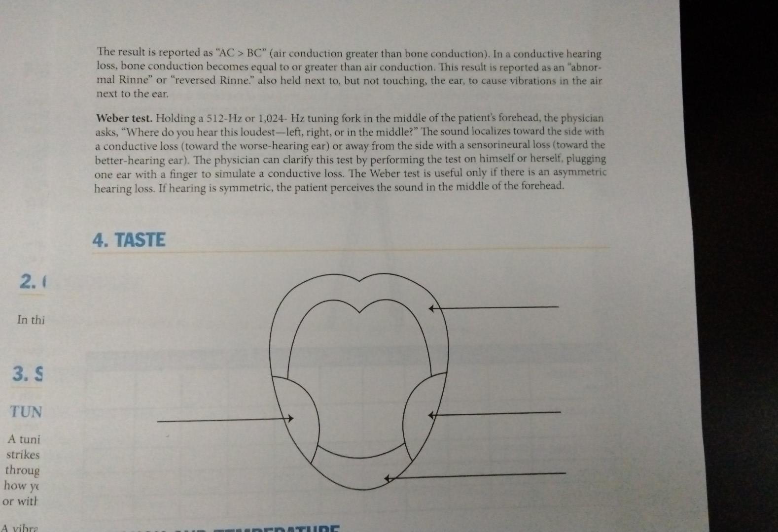Solved 3. SOUND TUNING FORK TESTS A tuning fork is a metal,