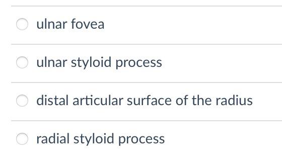 ulnar fovea
ulnar styloid process
distal articular surface of the radius
radial styloid process