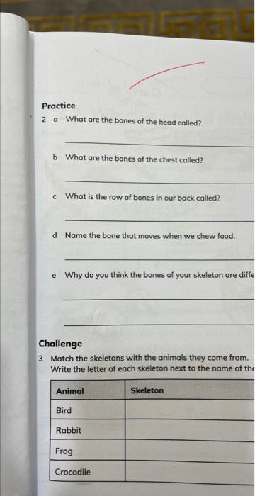 Solved Practice 2 a What are the bones of the head called b