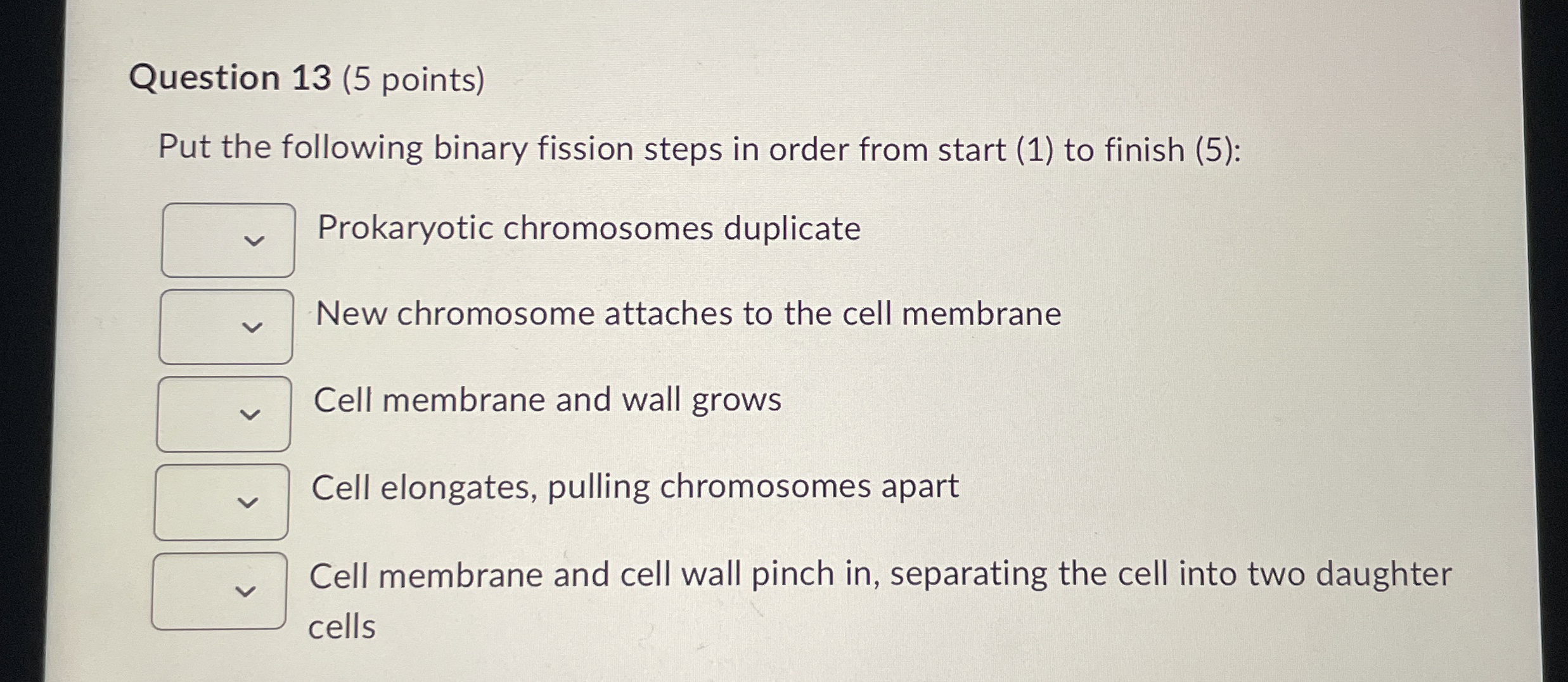 Solved Question 13 (5 ﻿points)Put the following binary | Chegg.com