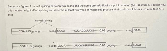Solved Below is a figure of normal splicing between two | Chegg.com