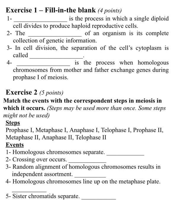 Solved Exercise 1 - Fill-in-the blank (4 points) 1- is the | Chegg.com