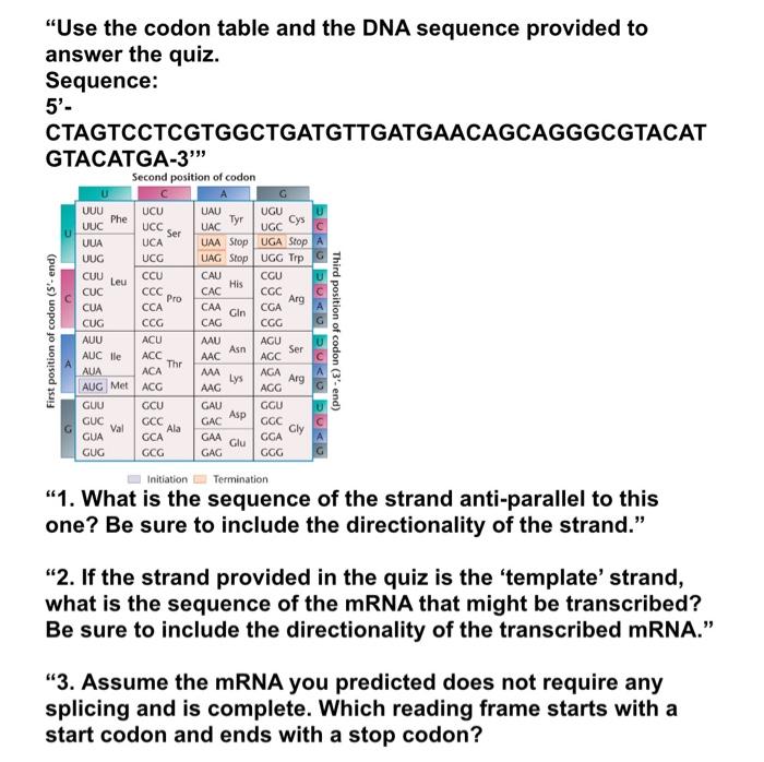 Solved Use The Codon Table And The DNA Sequence Provided To Chegg Com