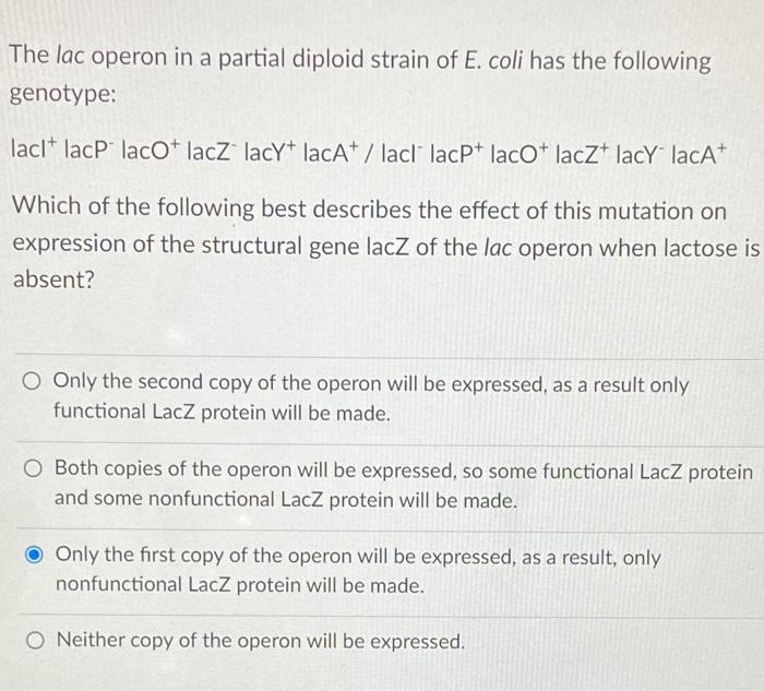 Solved The lac operon in a partial diploid strain of E. coli | Chegg.com