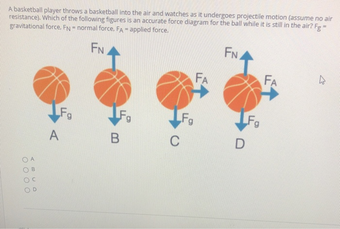 basketball ball diagram