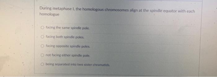 Solved During metaphase I, the homologous chromosomes align | Chegg.com