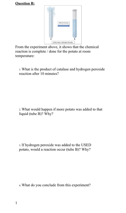 Solved How Enzymes Function Lab-6 Homework Question A: 1 2 3 | Chegg.com