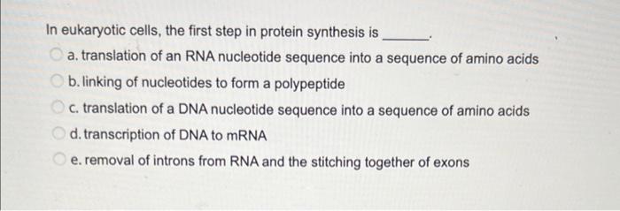 Solved In eukaryotic cells, the first step in protein | Chegg.com