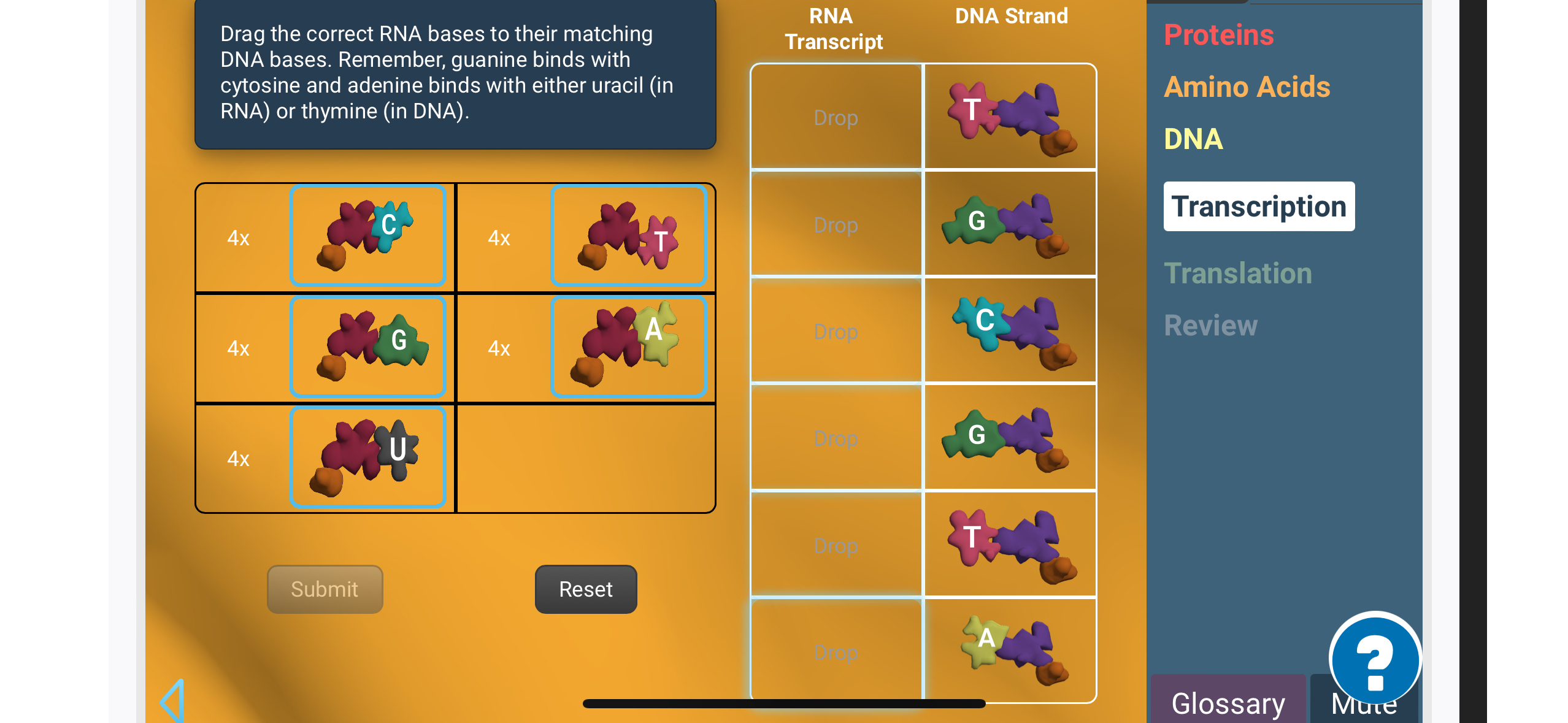 Solved Drag the correct RNA bases to their matching DNA