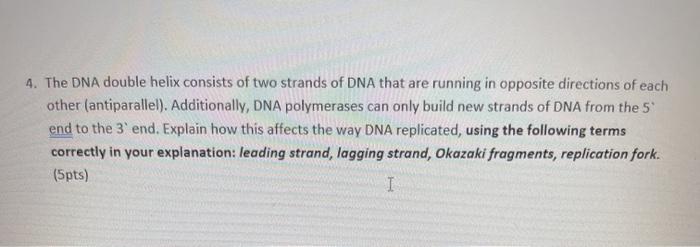 Solved 4. The DNA double helix consists of two strands of | Chegg.com