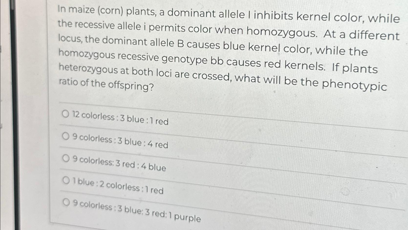 Solved In Maize (corn) ﻿plants, A Dominant Allele I Inhibits | Chegg.com