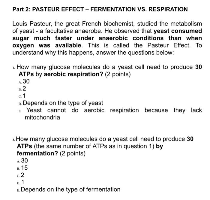 Solved Part 2 PASTEUR EFFECT FERMENTATION VS. RESPIRATION