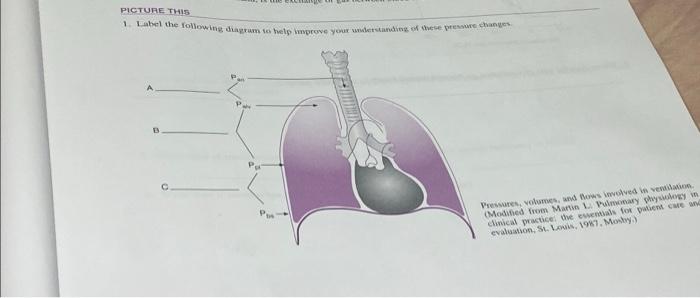 Solved PICTURE THIS 1. Label the following diagram to help | Chegg.com