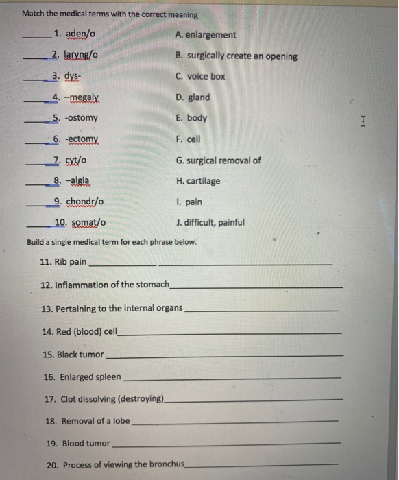 Solved Match The Medical Terms With The Correct Meaning 1 Chegg Com