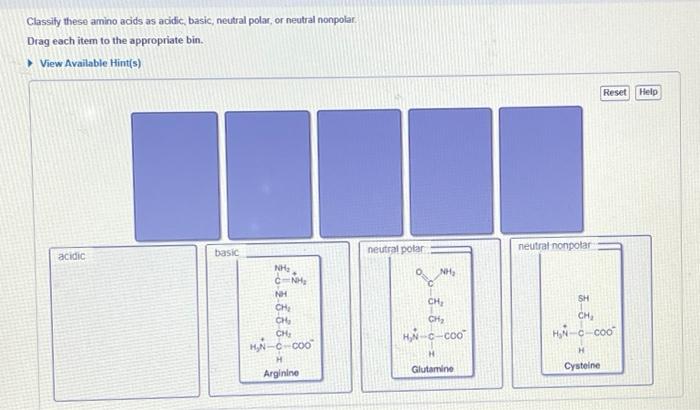 Solved Classity these amino acids as acidic, basic, neutral | Chegg.com