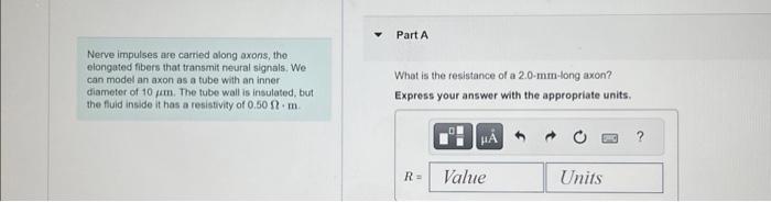 Solved Nerve impulses are carried along axons, tho elongated | Chegg.com