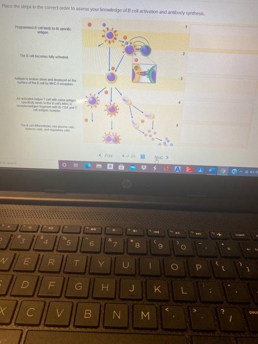 Solved Place the steps in the correct order to assess your | Chegg.com