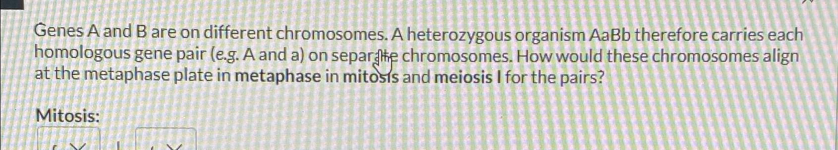 Solved Genes A And B ﻿are On Different Chromosomes. A | Chegg.com