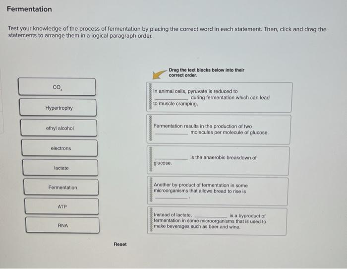 Solved Fermentation Test your knowledge of the process of | Chegg.com