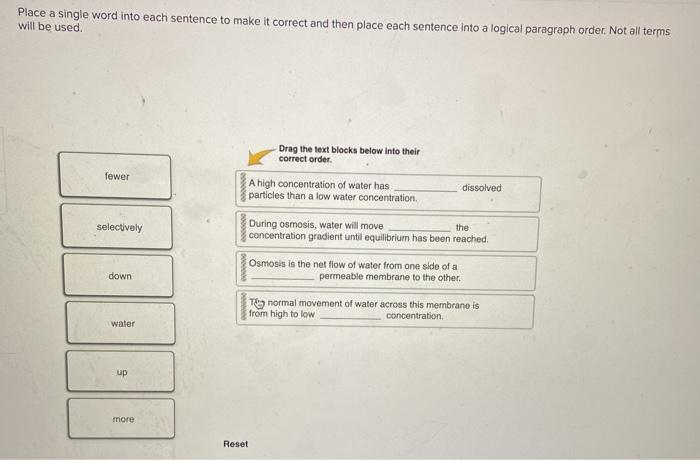 solved-place-a-single-word-into-each-sentence-to-make-it-chegg