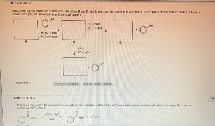 Solved QUESTION 1 Provide the correct structures in each | Chegg.com