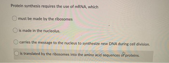Solved Protein synthesis requires the use of mRNA, which O | Chegg.com
