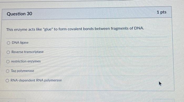 Solved Question 28 1 Pts Which Of The Following Classes Are Chegg Com