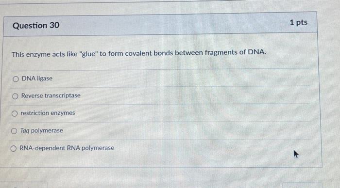 Solved Question 28 1 Pts Which Of The Following Classes Are Chegg Com