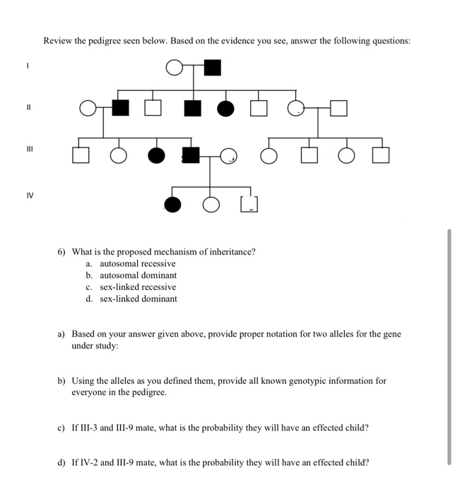 Solved Review the pedigree seen below. Based on the evidence | Chegg.com