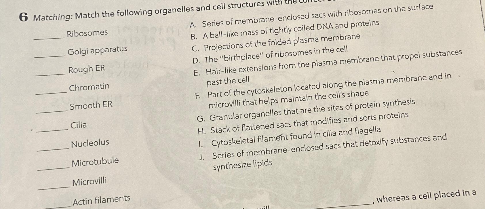 Solved 6Matching: Match the following organelles and cell | Chegg.com