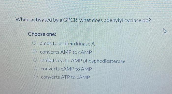 Solved When activated by a GPCR, what does adenylyl cyclase | Chegg.com