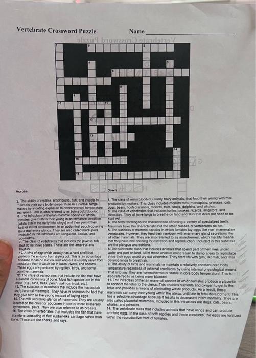 Solved Vertebrate Crossword Puzzle Name Acros: maintin their | Chegg.com