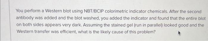 Solved You perform a Western blot using NBT/BCIP | Chegg.com