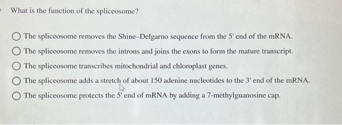 Solved What is the function of the spliceosome? The | Chegg.com