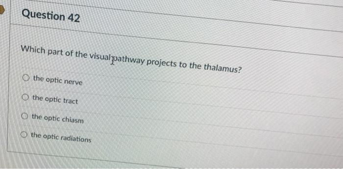 Solved Question 42 Which part of the visual pathway projects | Chegg.com