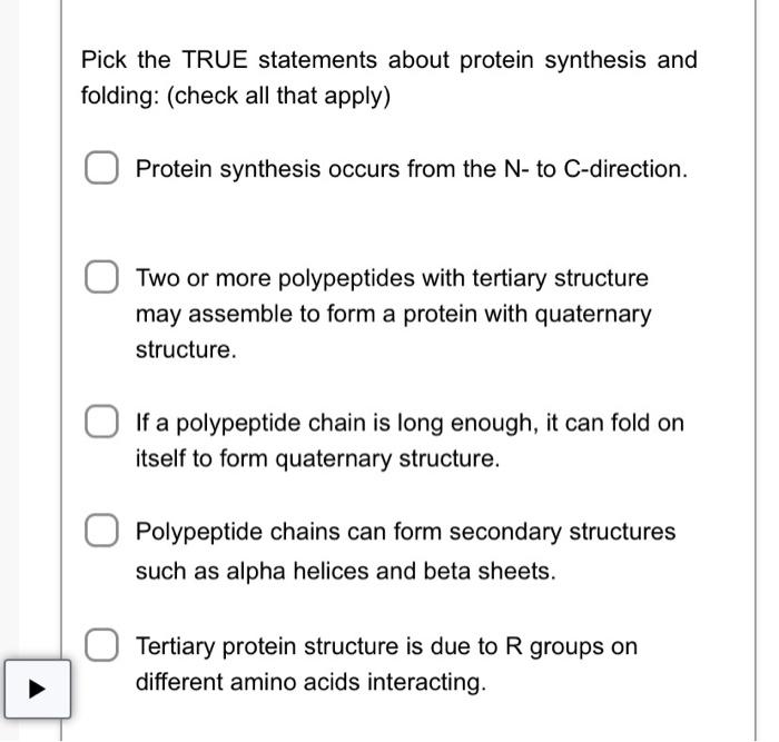 Solved Pick the TRUE statements about protein synthesis and | Chegg.com