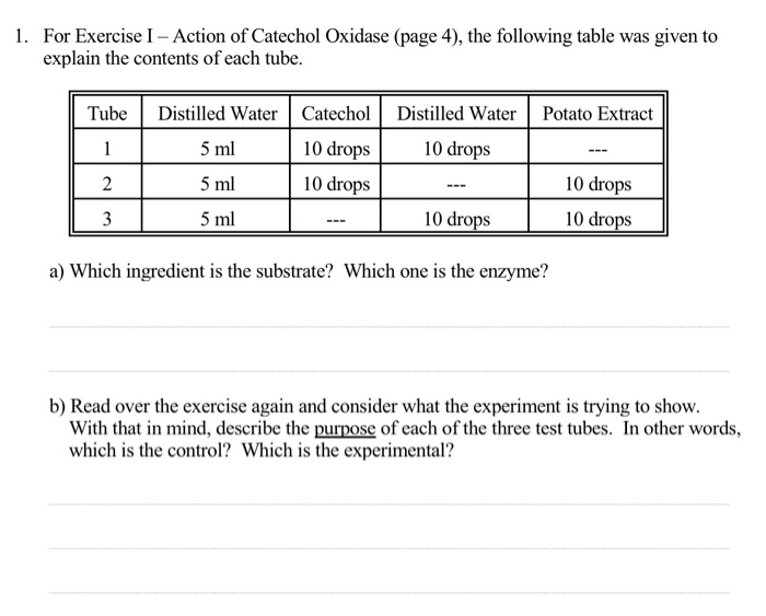 Solved FACTORS AFFECTING ENZYME ACTIVITY Enzyme Activity Is Chegg