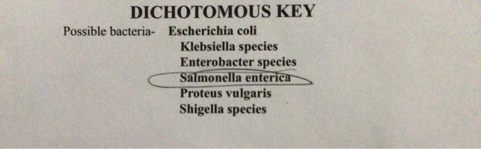 Solved Dichotomous key for the specific bacteria. Steps on | Chegg.com
