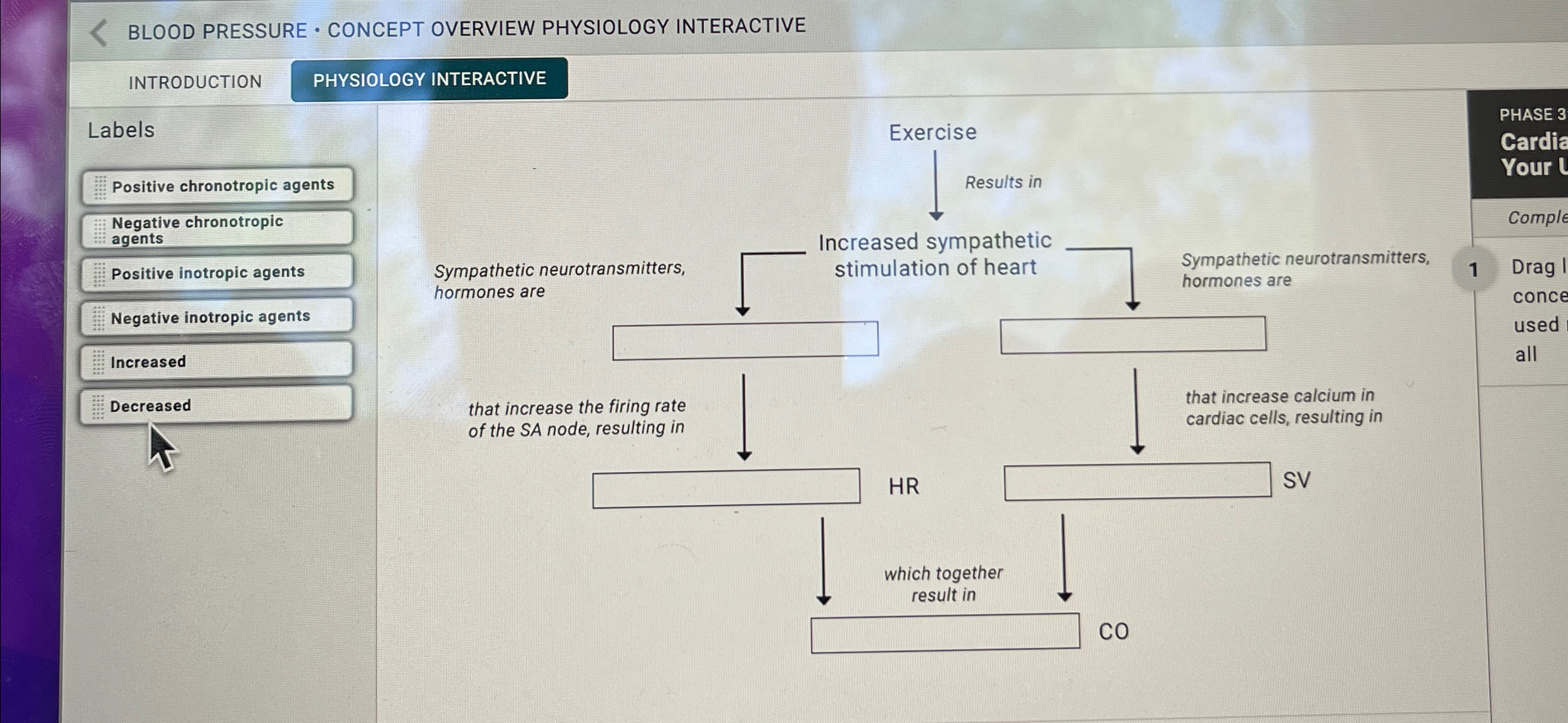 Solved BLOOD PRESSURE * ﻿CONCEPT OVERVIEW PHYSIOLOGY | Chegg.com