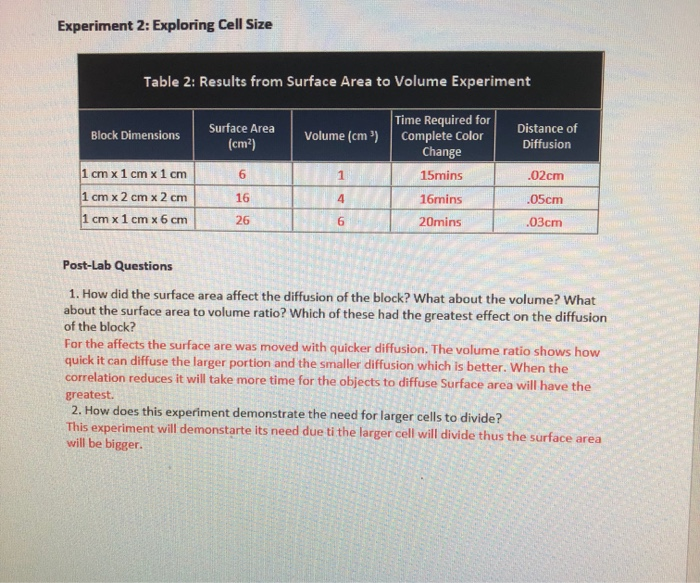 experiment 2 exploring cell size